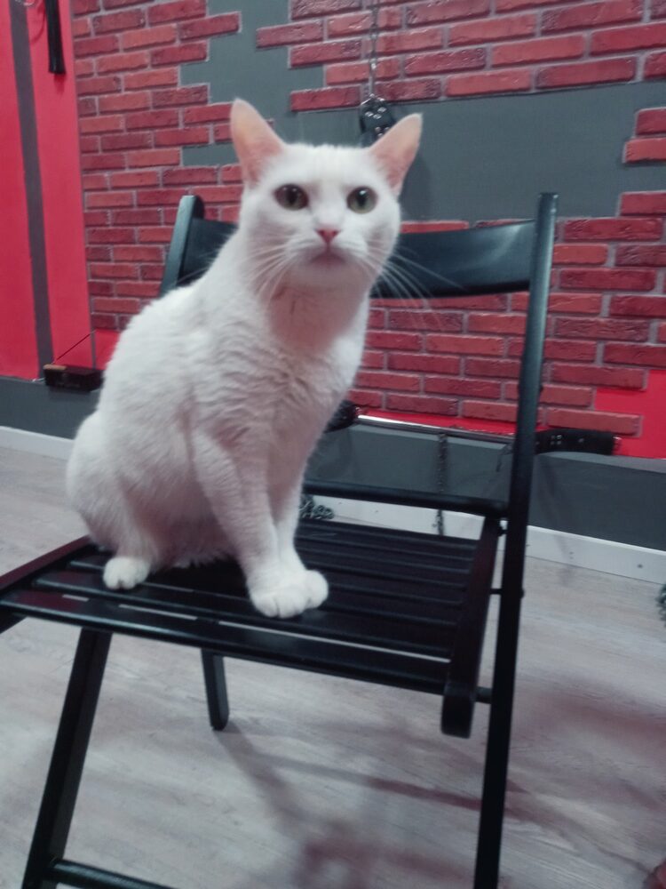 mimi es fantástica